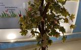 IMG-48386f664dd13c9ff62b0c2b7ef16adf-V_3_11zon