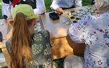IMG-ac158f0984c92ffeabedcd860f81201d-V
