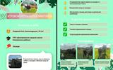 1_1_11zon